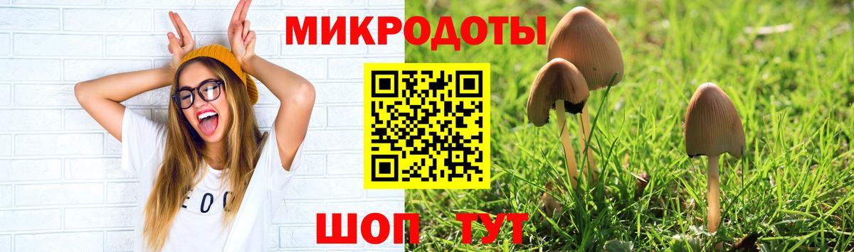Псилоцибиновые грибы MAGIC MUSHROOMS Вязьма